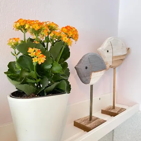 Confortable Studio Central * Rapallo